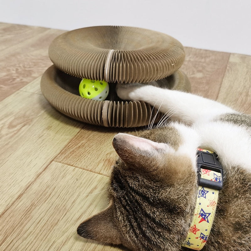 Interaktives Spielzeug für Katzen I Cat Joy + 1 Geschenkball